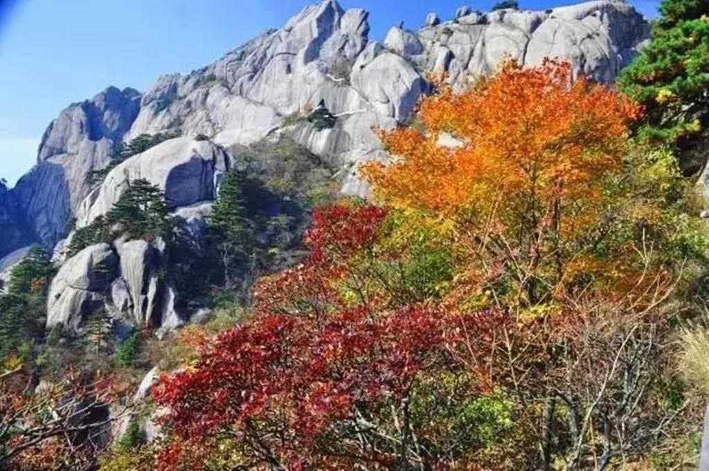 Xigu Resort - Huangshan Zhaixi Eksteriør bilde